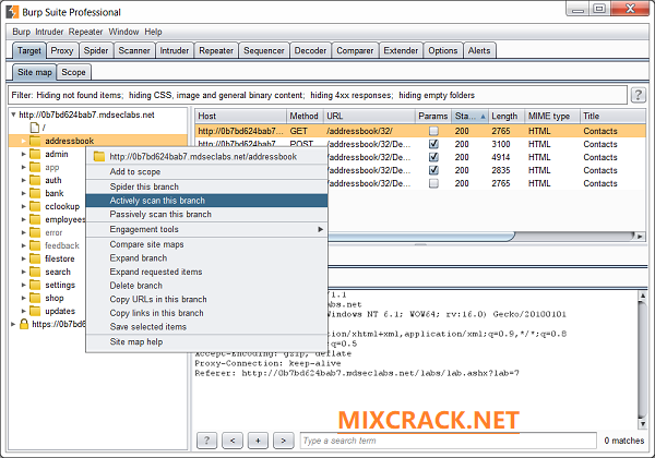Burp Suite Professional Free Download Full Version Crack [Latest]